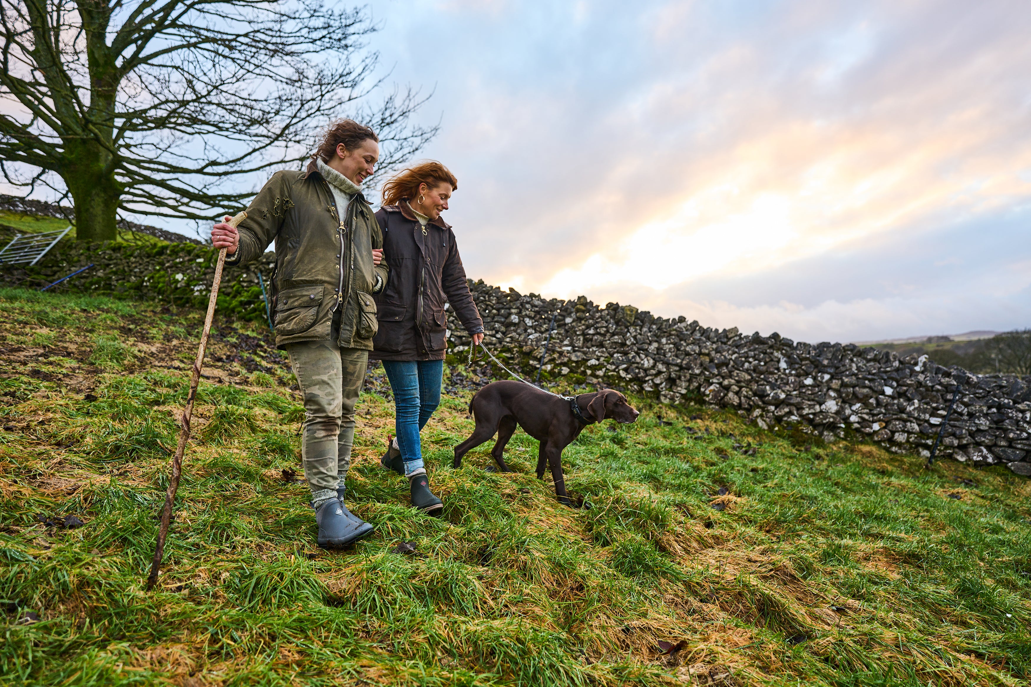 HOW TO PICK THE BEST DOG WALKS – THE ULTIMATE GUIDE